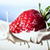 Strawberry Splash Live Wallpaper icon