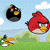 Angry Bird Wallpapers icon