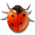 Bugs Attack Kitchen icon