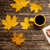 Autumn Leaves Live Wallpapers icon