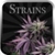 STRAINS Pro icon