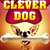 CleverDog icon
