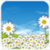 Daisy Flowers Live Wallpaper free icon