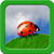 Ladybug Live Wallpapers Top icon