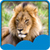 Lion Live Wallpapers New app for free