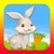 Hopping Bunny icon