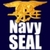 Navy SEAL Fitness icon