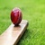 Cricket Fixtures And Scores icon