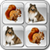Animal Puzzle Memory For Kids icon