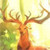  Beautiful Forest Wallpapers icon