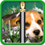 Puppy Zipper Lock Screen Free app for free