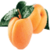 Benefits of Apricots icon