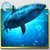 Live Wallpaper Ocean HD app for free