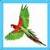 Kids Parrot icon