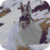 Snow Bunny Live Wallpaper icon