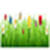 Green wallpaper photo images icon