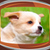Top Puppies Live Wallpapers icon