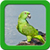Parrot Live Wallpapers app for free