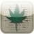Marijuana Dictionary icon