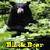 Black Bear Lite icon