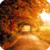 Beautiful Autumn Live Wallpaper HD icon