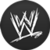 World Wrestling Entertainment icon