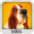 Dogs Wallpapers by Nisavac Wallpapers icon