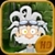 Caveman's Quest HD icon