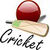 Live crickets icon