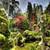 Japanese Zen Garden Live Wallpaper Free app for free