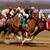 Horse Racing Pictures icon