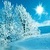 Beautiful Winter Wallpaper Pic icon