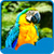 New Parrots Live Wallpapers icon