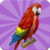 Birds Memory Game Free icon