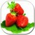 Strawberries Lwp free icon