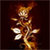 Rose On Fire LWP icon