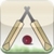 Swing Cricket 2 icon