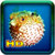 Fish Desktop HD Wallpaper icon