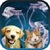 Cat  Dog Sound effects icon