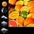 Citrus Fruit Weather Clock icon