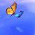 Butterfly Dream icon