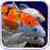 Koi Carp Aquarium 3D Wallpaper icon