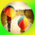 101 Rainy Day Ideas icon