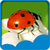 Ladybug Live Wallpapers New icon