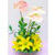 Colorful Splendor flower Wallpaper HD icon