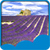 Lavender Field Live Wallpapers icon
