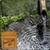 Traditional Bamboo Fountain Live Wallpaper icon