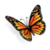 Butterfly Wally icon