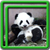 Cute Panda Live Wallpapers icon