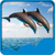 Dolphin Live Wallpapers New icon